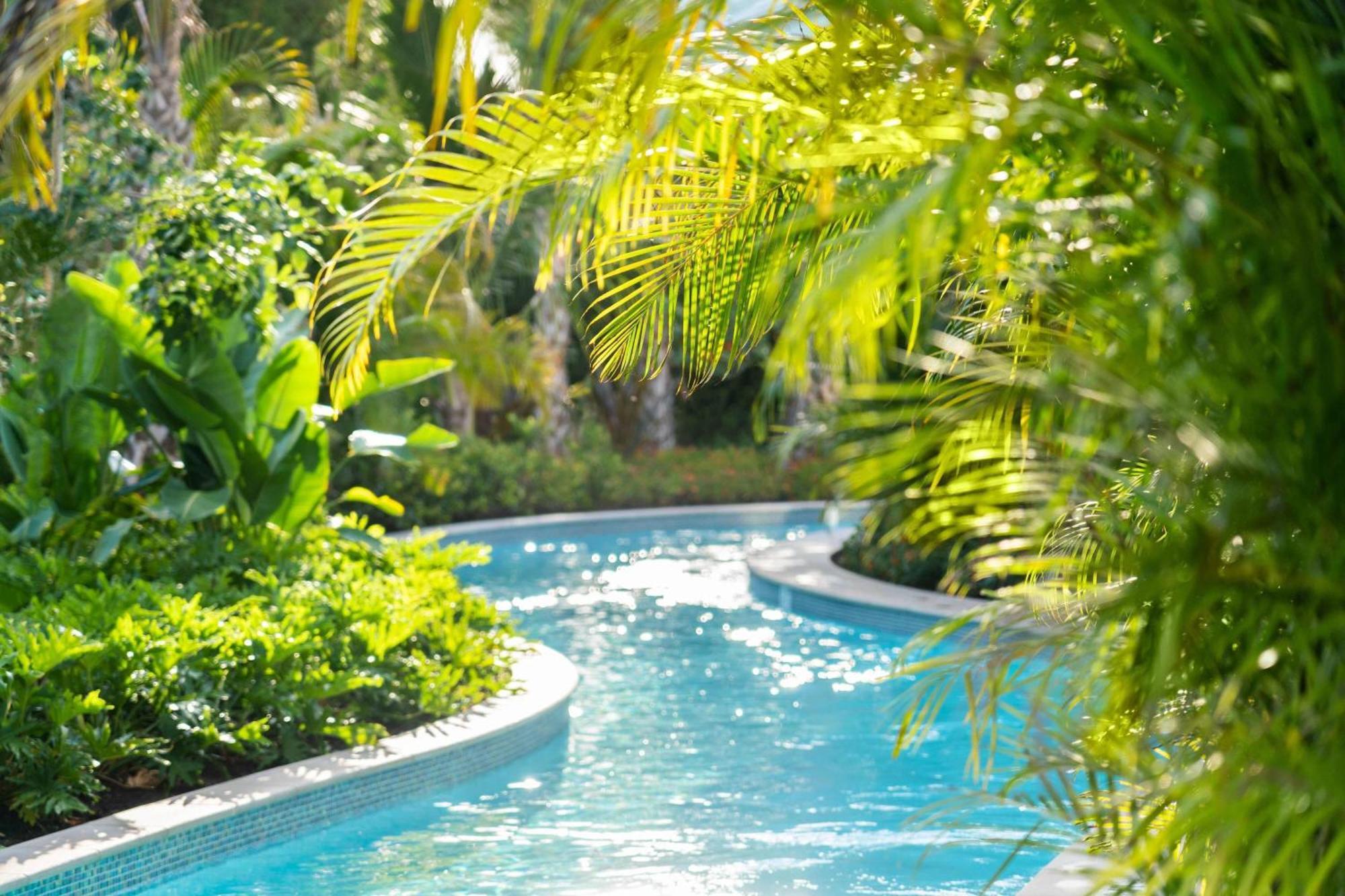 Hotel The Ritz-Carlton Naples, Tiburon Exterior foto